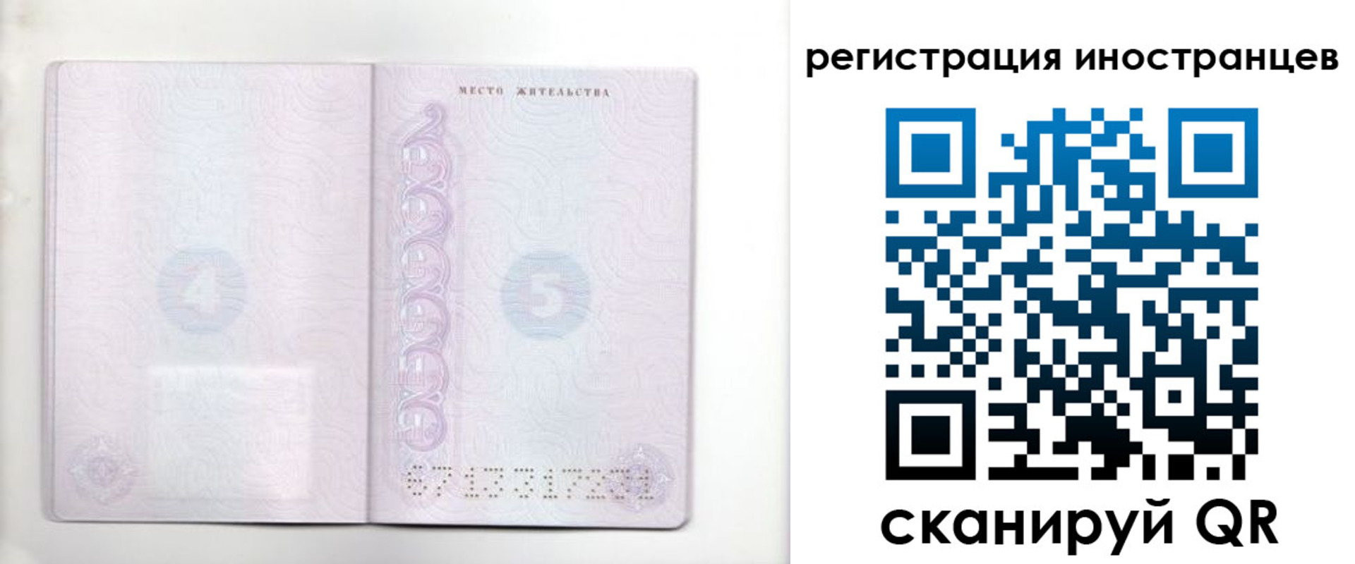временная регистрация в Торжоке